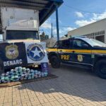 Equipe de Repressão da DRF Porto Velho apreende 72 kg de drogas em caminhão de mudança